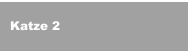 Katze 2